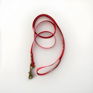 5’ Biothane Dog Leash - 1/2" width waterproof, stink proof - Red/Brass USA Made
